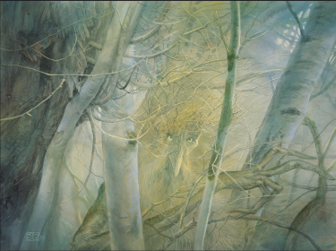 Visuel de John Howe