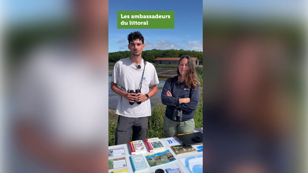 Image de remplacement pour la vidéo : <p>Les ambassadeurs du littoral</p>
