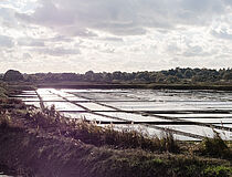 Marais salants - Agrandir l'image (fenêtre modale)