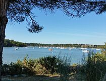 Port de Camoël - Agrandir l'image (fenêtre modale)