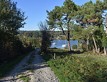 Bord de Vilaine - Agrandir l'image (fenêtre modale)