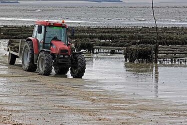 Tracteur de mer 