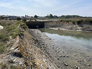 Agrandir l'image (fenêtre modale)