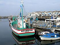 Port de La Turballe - Agrandir l'image (fenêtre modale)