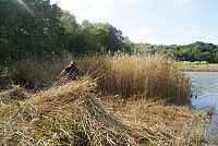 marais salants - Agrandir l'image (fenêtre modale)