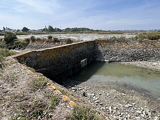 Agrandir l'image (fenêtre modale)