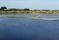 marais salants - Agrandir l'image (fenêtre modale)