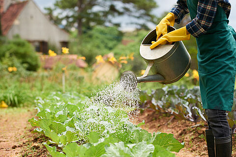 Arrosage d'un jardin