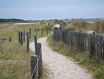 Sentier littoral Dune de Pen-Bron - Agrandir l'image (fenêtre modale)