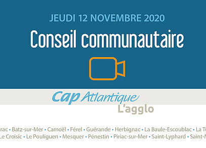 Conseil communautaire du 12 novembre 2020 en téléconférence