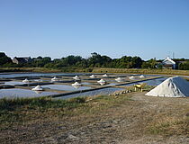 Marais salants - Agrandir l'image (fenêtre modale)