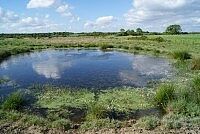 Marais - Agrandir l'image (fenêtre modale)